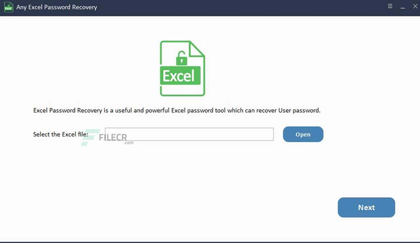 Any Excel Password Recovery Crack