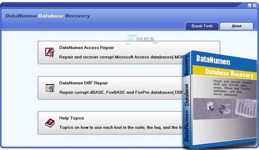 DataNumen Database Recovery Crack