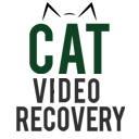 cat-video-repaid-logo