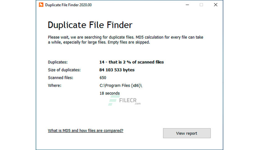 Duplicate File Finder Professional Crack