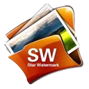 star-watermark-professional-logo