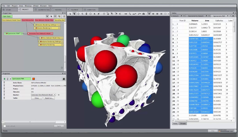 ThermoSientific AMIRA/AVIZO 3D Crack